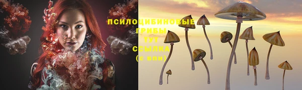 эйфоретик Баксан