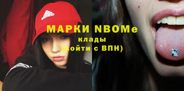 apvp Ельня