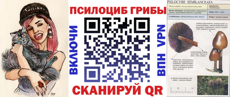 Псилоцибиновые грибы прущие грибы  хочу   Сегежа 