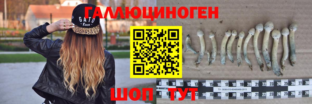 Псилоцибиновые грибы Cubensis  Вход с VPN  Сегежа 