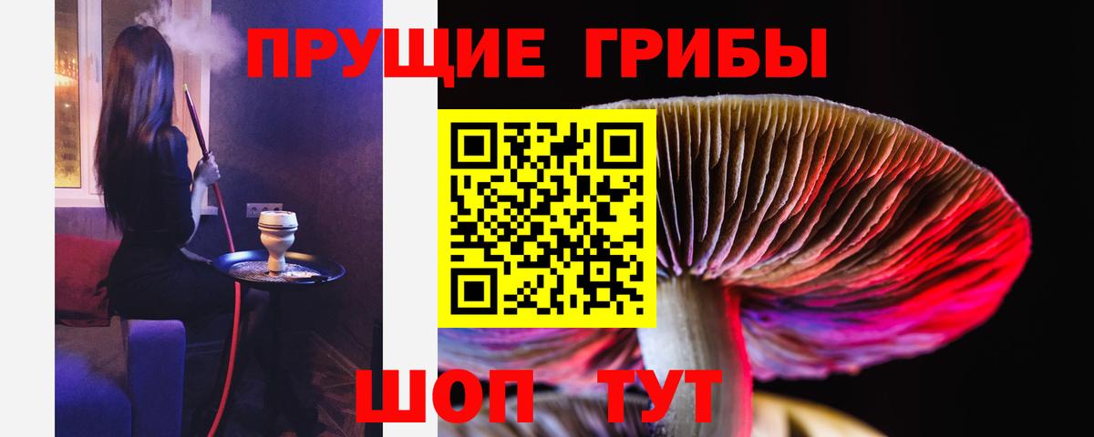 Галлюциногенные грибы Cubensis Сегежа